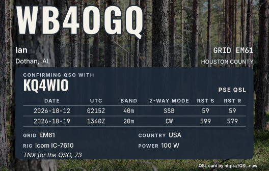 Pine forest with green undergrowth as a card with the data panel