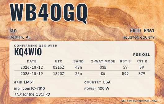 Olive wood grain close-up as a card with the data panel