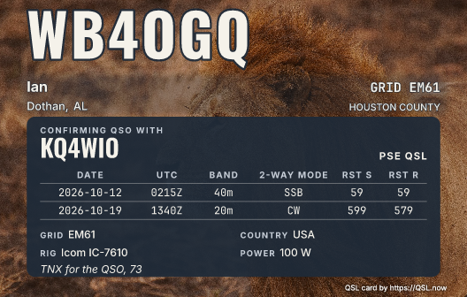 Male lion in profile as a card with the data panel