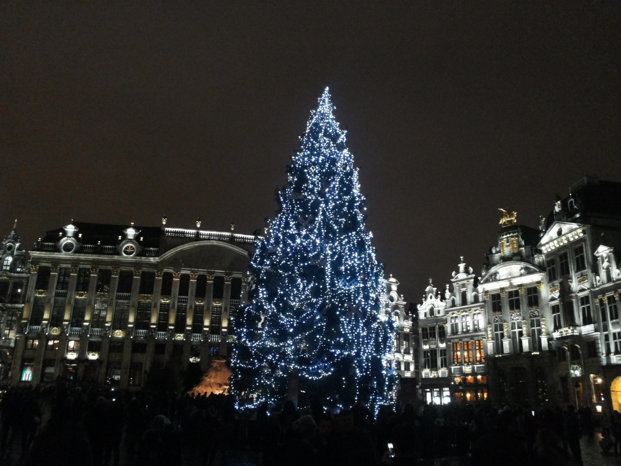 Lit Christmas tree in a square, full size