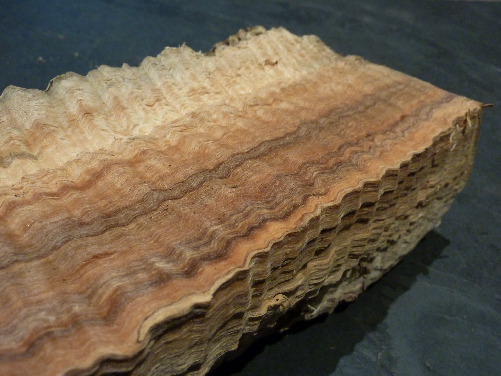 Close-up of wavy wood grain, full size