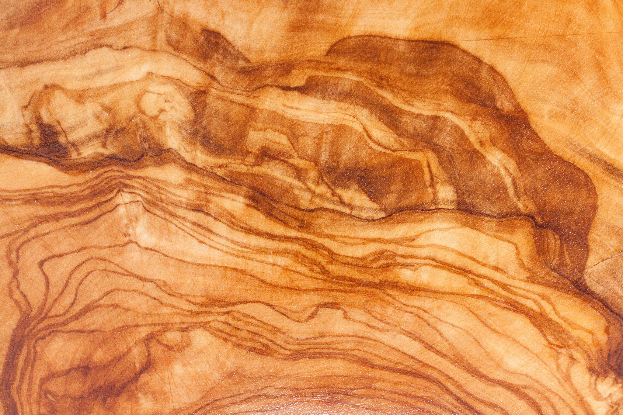 Olive wood grain close-up, full size